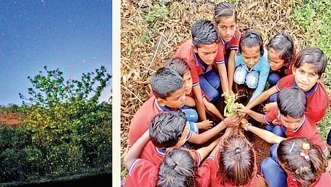 औरंगाबाद : ‘या काजव्यांनो’ परत फिरा रे…