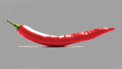 लवंगी मिरची : बाळ माझं गुटगुटीत!