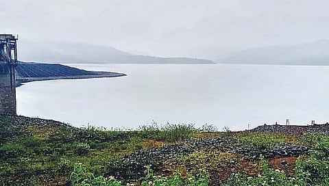 सांगली : चांदोली धरण 51%