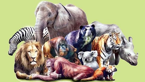 सस्तन प्राण्यांचे पूर्वज कधी बनले उष्ण रक्ताचे?