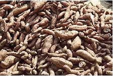 कर्नाटकी रताळ्यांची आवक निम्मी