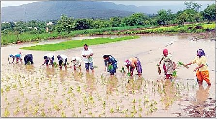 तळेगाव दाभाडे : कृषी अधिकार्‍यांचे प्रात्यक्षिकासह मार्गदर्शन