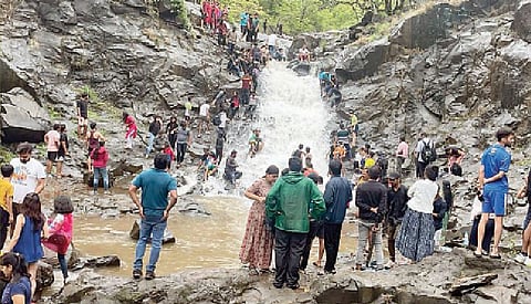 वर्षाविहारासाठी पर्यटक मुळशीत