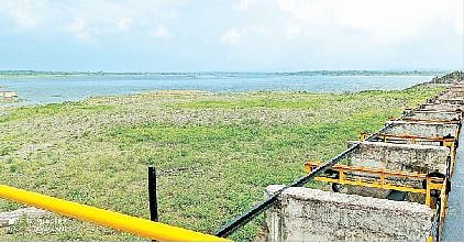 नाझरे धरणात केवळ 10 टक्के पाणीसाठा, 90 टक्के धरणक्षेत्र कोरडे..