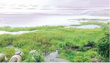 पानशेत खोर्‍यात मुसळधार पाऊस; पाण्याच्या पातळीत वाढ