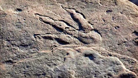 डायनासोरच्या सर्वाधिक पाऊलखुणा ‘या’ गावात!