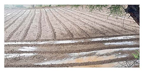 दौंडज (ता. पुरंदर) परिसरात बुधवारी दुपारी झालेल्या पावसाने बाजरीच्या शेतात साचून राहिलेले पावसाचे पाणी. (छाया : समीर भुजबळ)