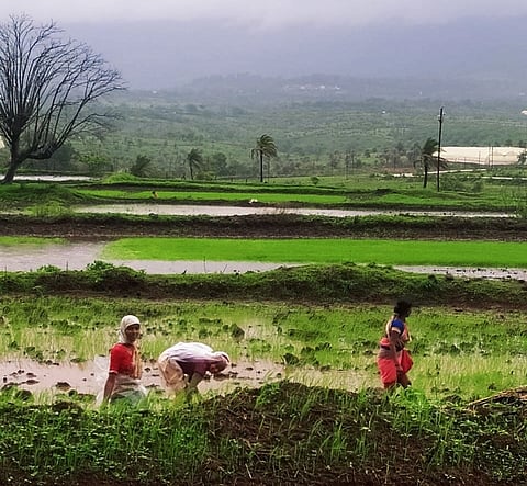 तळेगाव परिसरात पावसाच्या सरीवर सरी