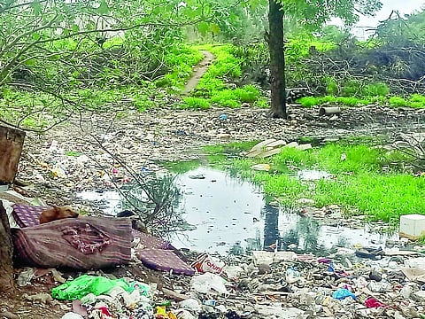 पिंपळे गुरव : मोरया पार्क परिसरात कचर्‍याची दुर्गंधी