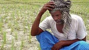 उस्‍मानाबाद : लोहारा तालुक्यातील शेतकरी अतिवृष्टी अनुदानापासून वंचित