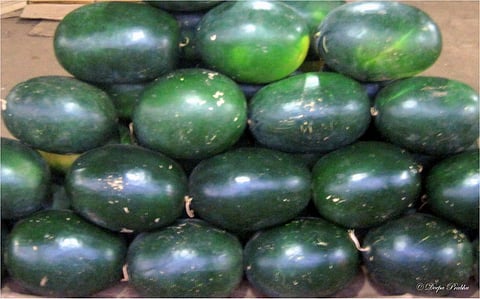 पिंपरी : पावसामुळे कलिंगडांच्या दरात घसरण