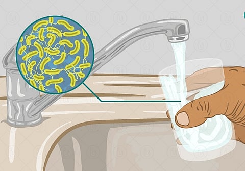 पावसाळा सुरू आहे द्या लक्ष! जलजन्य आजार टाळण्यासाठी व्हा दक्ष !