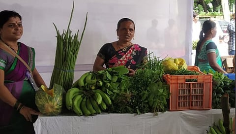 नाशिक : ‘ताई, हे गुगल पे काय असतं? आमच्याकडे नाय असं काही’