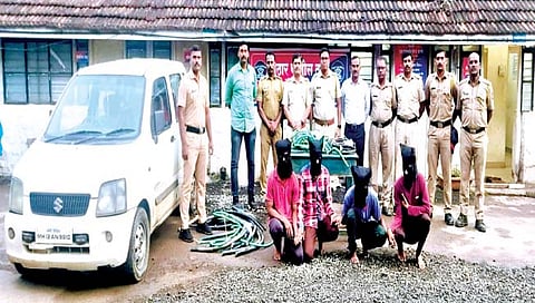 सातारा : केबल चोरी करणारी टोळी गजाआड