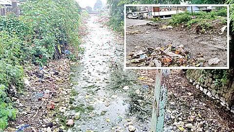 पंचवटी : सडलेले पाणी आणि दुर्गंधीयुक्त कचऱ्याने भरलेले पाटाचे पात्र.  तसेच पाटालगतच्या रस्त्यावर साचलेला कचरा. (छायाचित्रे : गणेश बोडके)