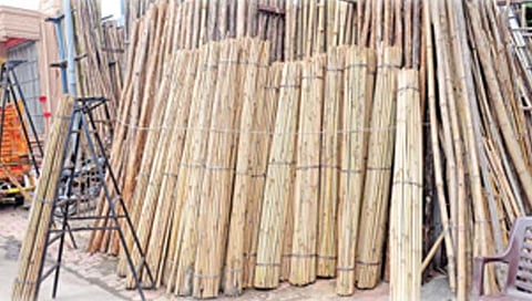 औरंगाबाद : आठवडाभरात 65 हजार बांबूची विक्री; दोन लाखांची उलाढाल