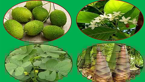 आरोग्यदायी  रानभाज्या