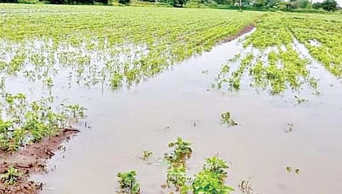 शासनाकडून मदतीची घोषणा, तरीही पंचनामे नाहीच