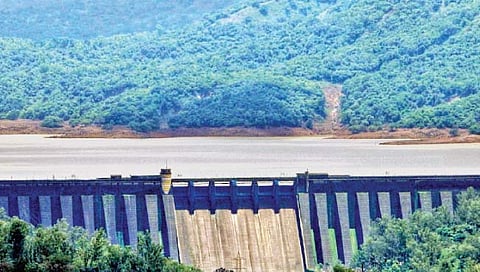 सातारा : कोयना जुलैअखेर अपेक्षित पाऊस नाही