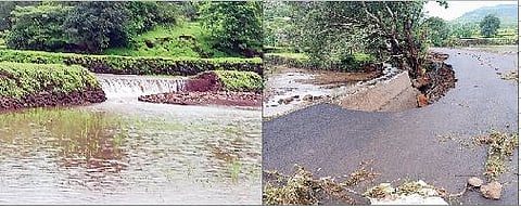 बांदलवाडी (ता. पुरंदर) परिसरात ढगफुटीमुळे मोठ्या प्रमाणात भात शेतीचे  झालेले नुकसान.