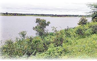 मत्स्य उत्पादनातून जिल्हा परिषेदला ठेंगा; शेवगाव तालुक्यातील पाझर तलावांचा लिलाव न करताच मासेमारी