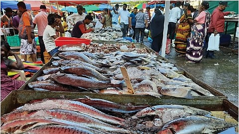 Pune Fish Market