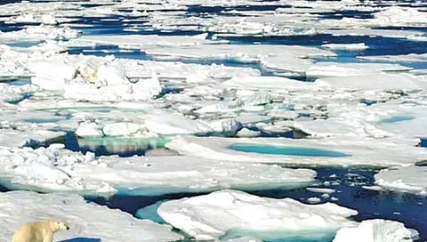 अन्य भागांपेक्षा आर्क्टिकची तापमानवाढ चौपट वेगाने