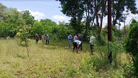 भंडारा शहरात बिबट्याची एन्ट्री, आयटीआय परिसरात वावर
