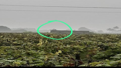 नाशिक : नारळाच्या झाडानंतर आता बिबट्या चढला थेट शेतकऱ्याच्या बंगल्यावर