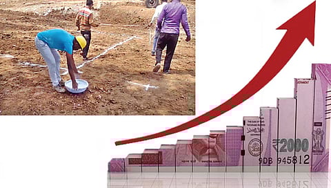 महसूल विभाग www.pudhari.news 