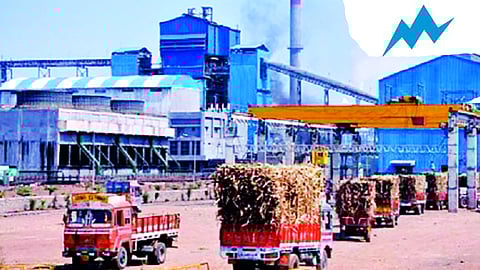 कोल्हापूर : ‘सहवीज’मधून 691.76 कोटींचे उत्पन्न