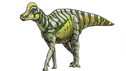 बास्केटबॉलसारख्या त्वचेचा डायनासोर