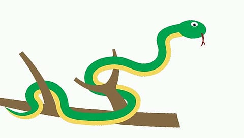 पंधरा दिवसांत ‘त्याला’ आठवेळा सर्पदंश!