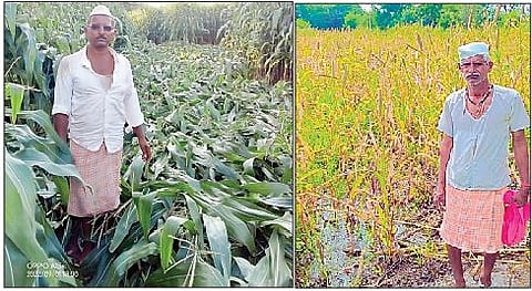 साबळेवाडीतील पिकांचे पंचनामे करावेत; कांदा, बाजरी, मका पिके पाण्याखाली