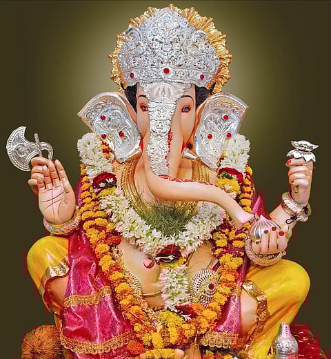 पुण्यात प्रथमच जंगल सफारीचा २डी ॲनिमेशन देखावा