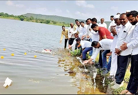 परतीच्या पावसात भुतवडा ओव्हरफ्लो, जामखेडच्या पिण्याचा पाण्याचा प्रश्न मिटला