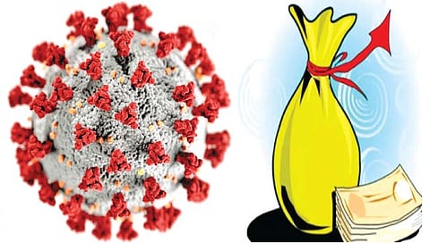 श्रीरामपूर : कोरोना अनुदानाचे संकेतस्थळ अखेर सुरू