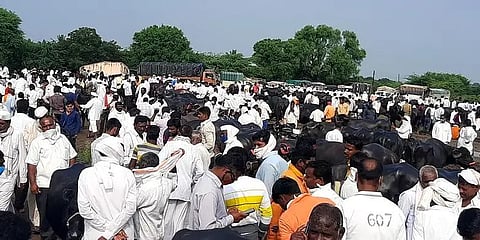 अकलूज येथील जनावरांचा सोमवारचा बाजार बंद