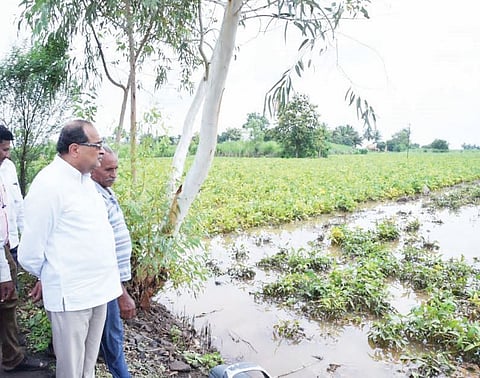 अतिक्रमणप्रश्नी कुणालाही पाठिशी घालू नका, महसूलमंत्री विखे पाटील