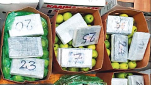 रायगड : जेएनपीए बंदराजवळ 502 कोटीचे कोकेन जप्त