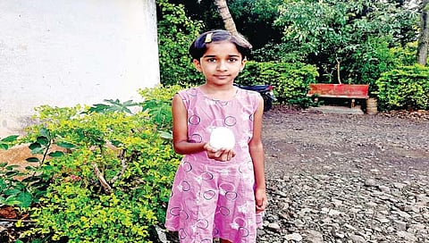 कोल्हापूर :  अबब..! कोंबडीचे अंडे तब्बल 210 ग्रॅमचे