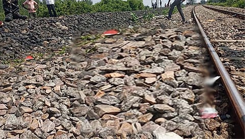 चंद्रपूर: रेल्वेच्या धडकेत पट्टेदार वाघाचा मृत्यू