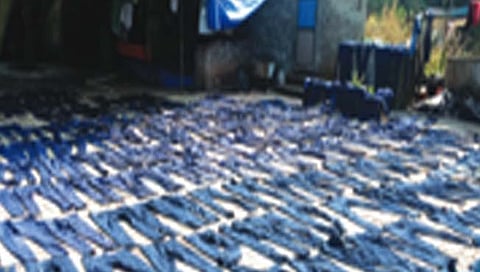 ठाणे : रसायनमिश्रित पाण्यामुळे खाडीतील जलचरांना धोका