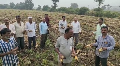 पिंपळनेर : पावसामुळे सोयाबीन, मका आदी पिकांचे नुकसान झाल्याने हाती मका पिक घेत हात जोडून मदतीची याचना करणारे शेतकरी.