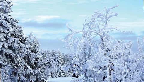 हिमयुग म्हणजे नेमके काय?