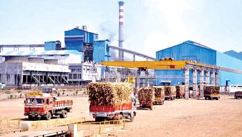 कोल्हापूर : गळीत हंगाम सुरू होण्यास नोव्हेंबर उजाडणार