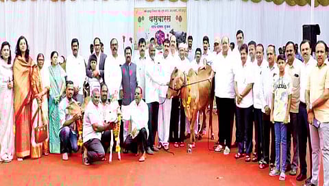 ‘गोकुळ’मुळे दूध उत्पादकांत दिवाळीचा गोडवा