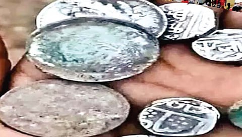 कुनो नॅशनल पार्कमध्ये सापडली प्राचीन नाणी