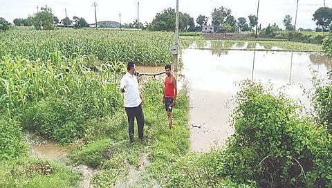 पावसाने शेतक-यांचे दिवाळे,www.pudhari.news