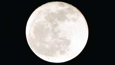 2025 पर्यंत चंद्रावर वनस्पती उगवण्याचा प्रयत्न